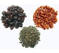 Vos Favoris 2017 - 3 sachets: 1 sachet de Cataire 70 graines + 1 sachet de Cresson Alénois 3 grammes + 1 sachet Grande Ortie de 0,30 grammes ( graines grossièrement décortiqué )