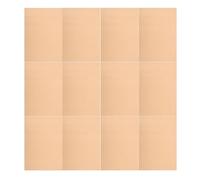VOSAREA 20 Feuilles de Papier à Écrire en Braille Épais, Lot de 20 Pièces, Format 4 Lignes et 9 Lignes, pour Pratiquer L'écriture Braille et Améliorer les Compétences des Personnes