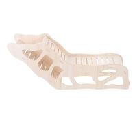 VOSAREA Échelle à Hamster en Bois Beige pour Entraînement et Jeu, Décor | Petits Animaux, Accessoire de Cage, Aide à Développer les Capacités, Usage Intérieur