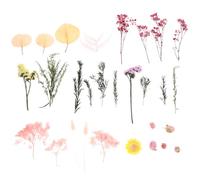 VOSAREA Kit de Décoration de Fleurs Séchées Fleurs Séchées et Pressées Rose DIY Moulage en Cristal Décoration de Scrapbooking et Stickers Visage Saint-Valentin