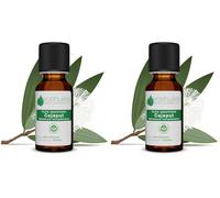 Voshuiles - Huile Essentielle Cajeput - 10ml - 100% Pure et Naturelle - HEBBD - Utilisation en Massage dans Huile Végétale - Parfum Très Aromatique - Traçabilité et Qualité - Entreprise Française