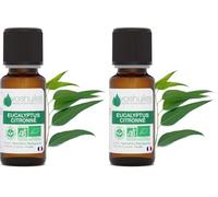 Voshuiles - Huile Essentielle Eucalyptus Citronné Bio 10ml - Parfum Frais - Réputé pour ses Nombreuses Vertus - Huiles Essentielles de Qualité - 100% Pure et Naturelle - HEBBD et Certifiée ECOCERT