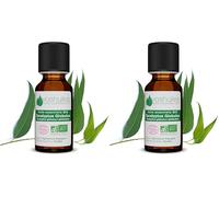 Voshuiles - Huile Essentielle Eucalyptus Globulus Bio 10ml - Parfum Aromatique - Huiles Essentielles de Qualité - 100% Pure et Naturelle - HEBBD et Certifiée ECOCERT (Lot de 2)