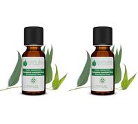 Voshuiles - Huile Essentielle Eucalyptus Mentholé - 10ml - 100% Pure et Naturelle - HEBBD - Utilisation en Massage dans Huile Végétale - Nombreuses Propriétés - - Entreprise Française (Lot de 2)