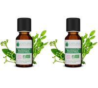 Voshuiles - Huile Essentielle Ravintsara Bio 5ml - Utilisation Polyvalente et Alimentaire - Parfum Frais - Huiles Essentielles de Qualité - 100% Pure et Naturelle - HEBBD et Certifiée ECOCERT