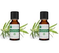 Voshuiles - Huile Essentielle Romarin Officinalis à Cinéole - 20ml - 100% Pure et Naturelle - HEBBD - Utilisation en Massage dans Huile Végétale - Parfum Très Aromatique - - Entreprise Française