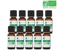 Voshuiles - Huiles Essentielles Kit Indispensables BIO 10x10ml - 100% Pure et Naturelle - Tee Trea, Citronnelle, Eucalyptus, Lavande, Ravintsara, Basilic