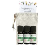 VOSHUILES - Huiles Essentielles Senteurs de Noël BIO - Orange Douce- Cannelle- Sapin - 30ml - Parfait pour Diffuseur- Aromathérapie- Relaxation et Ambiance Festive
