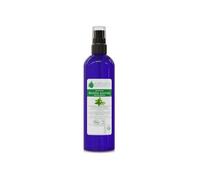 Voshuiles Hydrolat de Menthe Poivrée Cosmos 100 ml