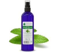 VOSHUILES - Hydrolat de Menthe Poivrée COSMOS - Eau Florale Naturelle pour Soin de la Peau - Rafraîchissante, Tonifiante, Cosmétique BIO - Usage Quotidien - 100ml