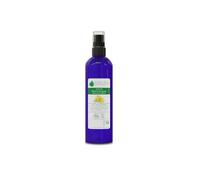 Voshuiles Hydrolat d'Hélichryse Cosmos 100 ml