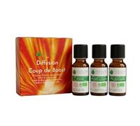 VOSHUILES - Kit Diffusion Coup de Boost 3x10ml - Trio d'Huiles Essentielles de Citron et Romarin à Cinéole et Pin Sylvestre - Flacons Verre Ambré avec Bouchon de Sécurité