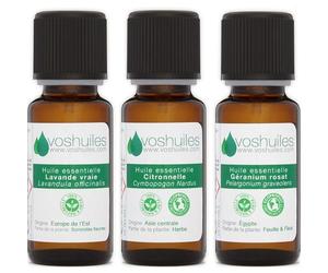Voshuiles Kit « Insectes, Moustiques, Guêpes, Fourmis... » 3 Huiles Essentielles