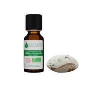 Voshuiles Kit Ma Petite Diffusion Evasion