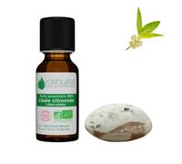VOSHUILES - Kit Ma Petite Diffusion Évasion - Huile Essentielle Litsée Citronnée 10ml, Galet en Argile Naturelle et Pochon en Coton - Diffuseur Passif