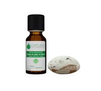 Voshuiles Kit Ma Petite Diffusion Sapin de Noël