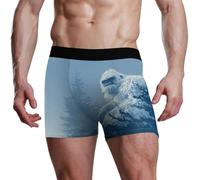 voucong Animaux Brume Forêts Bleu Boxer Boxer Boxer, Animaux Brume Forêts Bleu, S