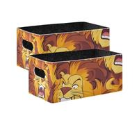 voucong Lot de 2 grands organiseurs de rangement de placard motif lion orange dessin animé, étagères, placard, livres