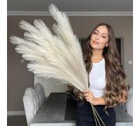 VOULUX Herbes de pampa artificielles beiges extra larges - 3 tiges de 115 cm x 18 plumes artificielles décoratives pour vases de sol - Grandes plantes beiges - Herbe de pampa longue