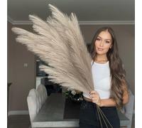VOULUX Lot de 3 tiges de 18 plumes de pampa artificielles décoratives pour vases de sol, taupe, fleurs de pampa longues et longues tiges de 115 cm, taupe