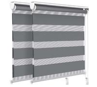 VOUNOT Lot de 2 Store enrouleur jour nuit double 100x150cm Gris