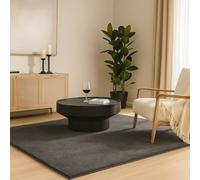 vounot ® Tapis de Salon Moderne Ultra Doux Tapis à Poils Ras Lavable en Machine avec Un sous-Tapis antidérapant fourni pour Le Salon la Chambre ou la terrasse 80x150cm Anthracite