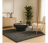 VOUNOT® Tapis de salon poils ras doux antiderapant 140x200cm uni anthracite