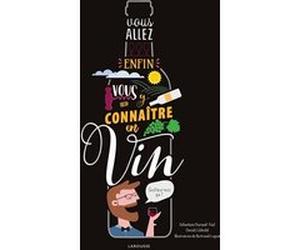 Vous allez enfin vous y connaître en vin David Cobbold (Auteur), Sébastien Durand-Viel (Auteur)