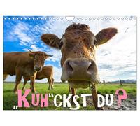 Vous avez perdu votre emploi ?, Version française (Calendrier mural 2026 DIN A4 portrait), Calendrier CALVENDO mensuel