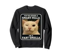 Vous êtes Soit Un Gars Intelligent, Soit Un Chat Amusant à l'odeur de Pet Sweatshirt