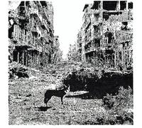 VoX LoW Keep On Falling (CD) Album Digipak