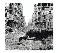 VOX LOW - KEEP ON FALLING CD NEUF