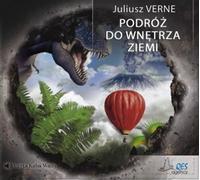 Voyage au centre de la terre - Jules Verne (Buch auf Polnisch)