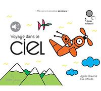 Voyage dans le ciel: Mes promenades sonores