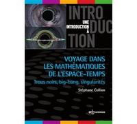 Voyage dans les mathématiques de l'espace-temps Stéphane Collion (Auteur)