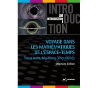 Voyage Dans Les Mathématiques De L'espace-Temps - Trous Noirs, Big-Bang, Singularités
