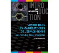 Voyage dans les mathématiques de l'espace-temps: Trous noirs, big-bang, singularités