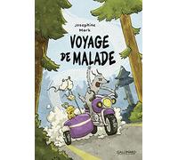 Voyage de malade