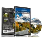 Voyage de Remise en Forme Au Travers de la Forêt pour la marche intérieure, tapis roulant et vélo d'apartement