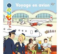 Voyage en avion