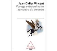 Voyage Extraordinaire Au Centre Du Cerveau