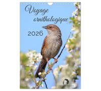 Voyage ornithologique (Calendrier mural 2026 DIN A4 horizontal), CALVENDO calendrier mensuel: Un calendrier fascinant qui vous fait explorer, mois ... la diversité des oiseaux à travers le monde.