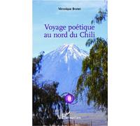 Voyage poétique au nord du Chili - Véronique Brunet - L'harmattan - broché - Poésie