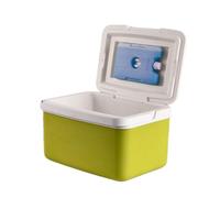 Voyage - Pour Camping 6L et 9L, Mini Portable | Étui rigide pour congélateur, voyage, plage, voiture, kayak, à la maison, thermique portable, réfrigérateur