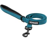 Voyager Laisse réfléchissante pour Chien avec poignée en néoprène, 1,5 m de Long, Convient aux Chiots de Petite, Moyenne et Grande Race, Mignonne et Robuste pour la Marche, la Course à Pied et Le
