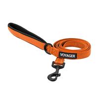 Voyager Laisse réfléchissante pour Chien avec poignée en néoprène, 1,5 m de Long, Prend en Charge Les Chiots de Petite, Moyenne et Grande Race, Mignonne et Robuste pour la Marche, la Course et Le