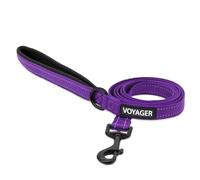 Voyager Laisse réfléchissante pour Chien avec poignée en néoprène, 1,5 m de Long, Prend en Charge Les Chiots de Petite, Moyenne et Grande Race, Mignonne et Robuste pour la Marche, la Course et Le