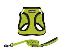 Voyager Step-in Air All Weather Mesh Harness and Reflective Dog 5 ft Leash Combo with Neoprene Handle, for Small, Medium and Large Breed Puppies by Best Pet Supplies - Lime/Black Trim, Medium