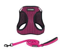 Voyager Step-in Air All Weather Mesh Harness and Reflective Dog 5 ft Leash Combo with Neoprene Handle, for Small, Medium and Large Breed Puppies by Best Pet Supplies - Fuchsia (2-Tone), M
