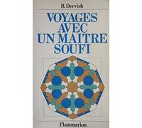 Voyages avec un maitre soufi: - TRADUIT DE L'ANGLAIS